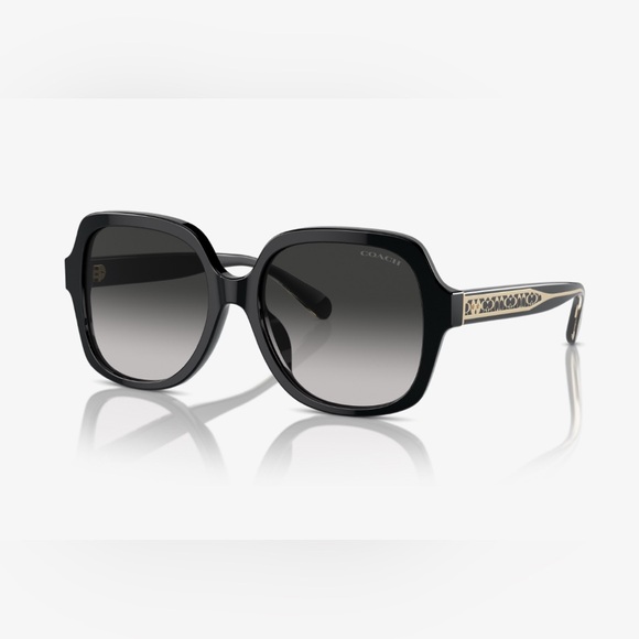 Coach Accessories - Coach Black Sunglasses for Women NWT full inclusion